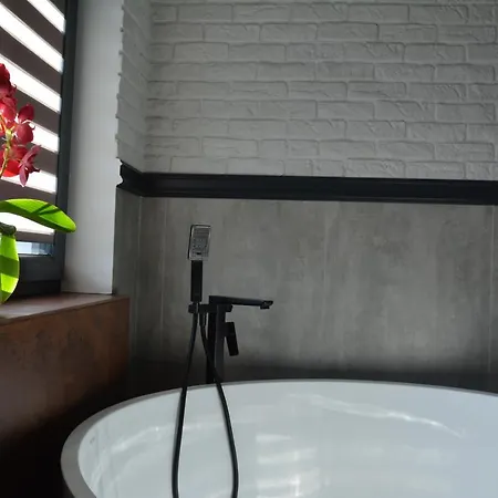 Willa Luksusowa Mechelinki