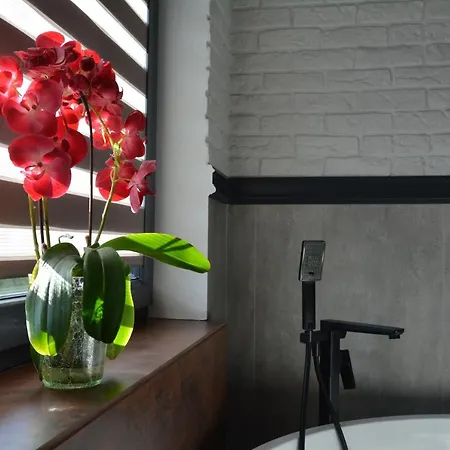 Luksusowa Mechelinki