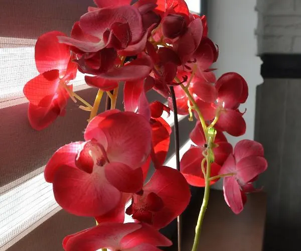 빌라 Luksusowa 메헬린키