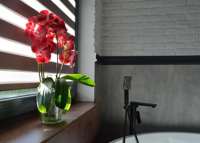 Luksusowa 메헬린키